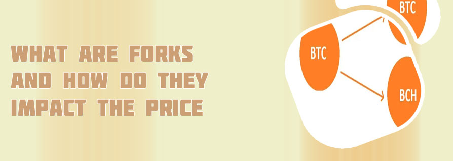 Fork cryptocurrency
