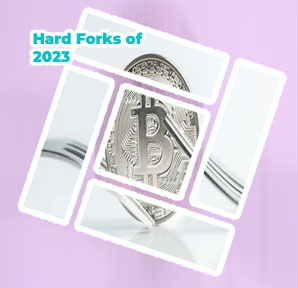 Hard fork crypto