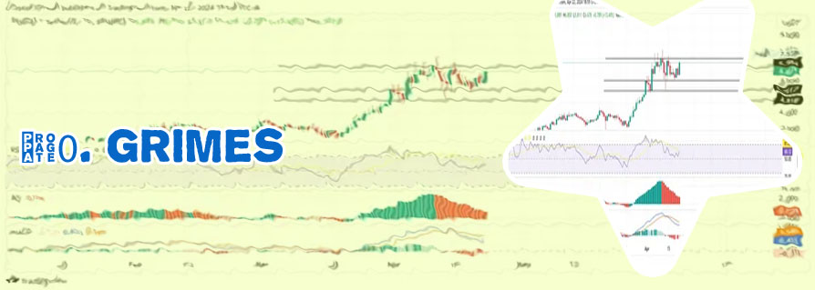 Space grime crypto price